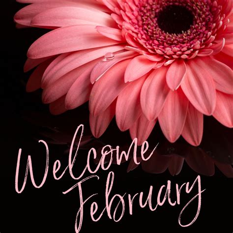 Welcome February in 2020 | Welcome february, Niche, February