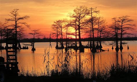 Venice, Louisiana. Bayou Sunset. | Great american road trip, Louisiana