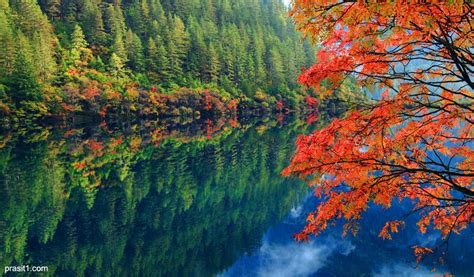 Mirror Lake Juizhaigou China By Prasit Chansareekorn Via 500px