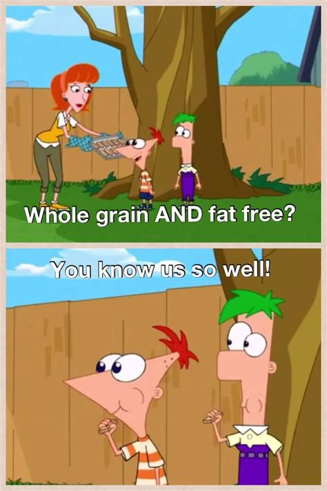 Pin By Lauren On Yup Phineas And Ferb Phineas And Ferb Phineas And Ferb Memes Disney Jokes