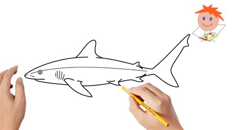 How To Draw A Shark Easy Drawings Youtube