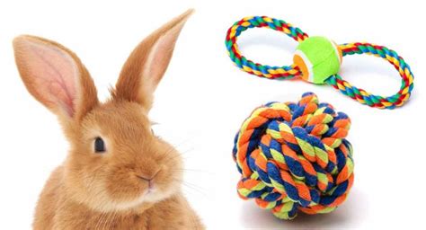 best diy rabbit toys tons of bunny fun for free