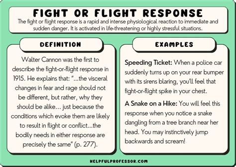 Fight Or Flight Response Psychology 15 Examples 2024