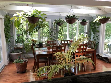 Indoor Garden Rooms Room With Plants Inside Garden
