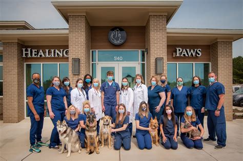 Healing Paws Veterinary Hospital Hillsborough Nc Animal Hospital