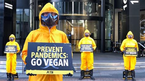 Protesters Clad In Hazmat Suits Take Vegan Message To Brisbane News