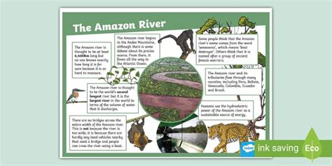 Amazon River Information Poster Amazon River Facts Ks2