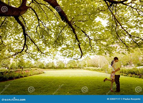 Couple Kissing Under Tree Stock Image Image Of Couple