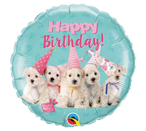 Happy Birthday Images With Puppies💐 — Free Happy Bday Pictures And