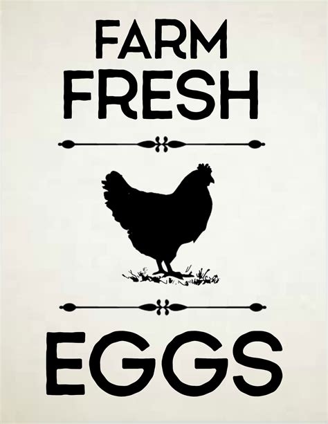 Farm Fresh Eggs Free Printable Printable Word Searches