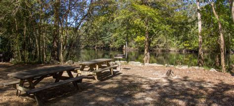 Tent Sites Ginnie Springs Outdoors High Springs FL