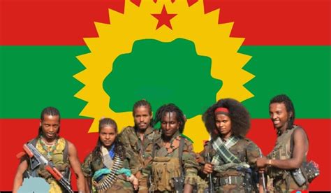 Oromo Libertation Army Ola