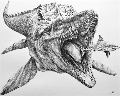 Dino tekenen in stappen / perspectief tekenen voor beginners: Mosasaurus, 50x40 cm, pencil, made in commission | Dieren tekenen, Draken tekeningen, Dinosaurussen