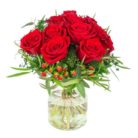 We did not find results for: Tres rosas rojas - Floristería San Lorenzo. Tienda de ...