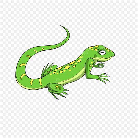 Cartoon Style Spotted Lizard Clipart Lizard Clipart Lizard Clip Art