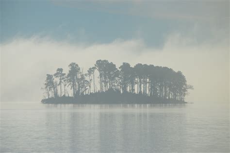 An Island Surrounded By Morning Fog In Lake Murray Sc Taken From The