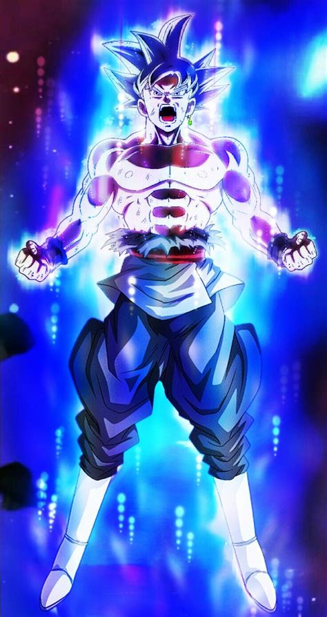 Goku Black Mastered Ultra Instinct Dragon Ball Super Anime Dragon