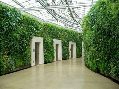Ever Heard Of Eco Green Walls Ups Battery Center