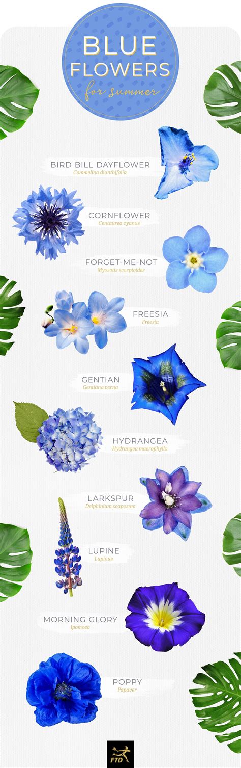 Blue Flower Names List
