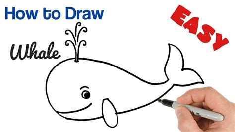 How To Draw A Whale Fo Kids Easy And Cartoon Youtube