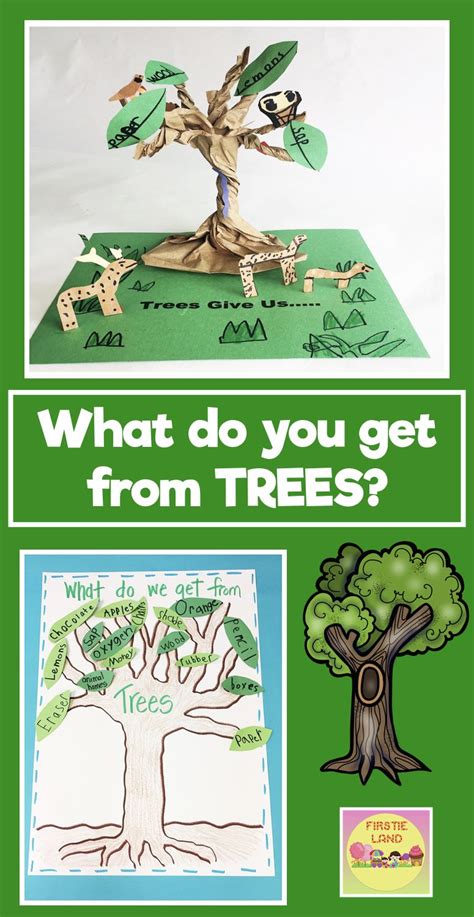 Learning About Trees Preschool Activities Kindergarten Science