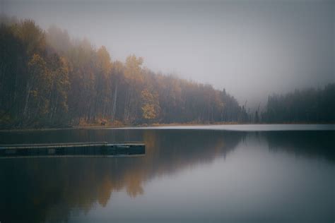 Free Images Tree Water Nature Forest Mountain Dock Cloud Fog