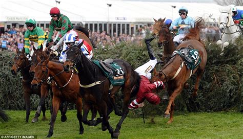 Furthermore, if a horse is found to be lame, suffers a bleeding attack, is injured during the running of a race, falls, is brought down, runs off, fails to finish or loses its rider, no reduction in rating will occur. Grand National 2012 horse deaths at notorious Aintree jump ...