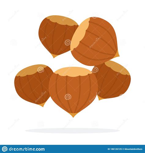 Hazelnuts Vector Flat Isolated Stock Vector Illustration Of Organic