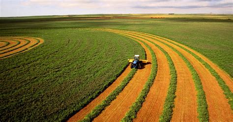 Agricultural production invests millions of euros in agriculture in Ukraine - Large agricultural ...