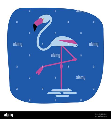 Flamingo Bird Illustration Stock Vector Image And Art Alamy