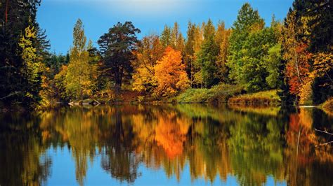 Finland Lake With Reflection Of Trees And Blue Sky During Fall 4k Hd