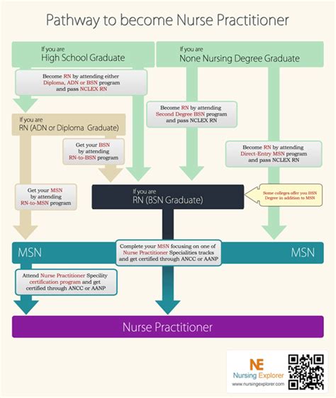 Nurse Practitioner Np Career Guide