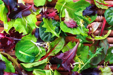 Get To Know Your Leafy Greens