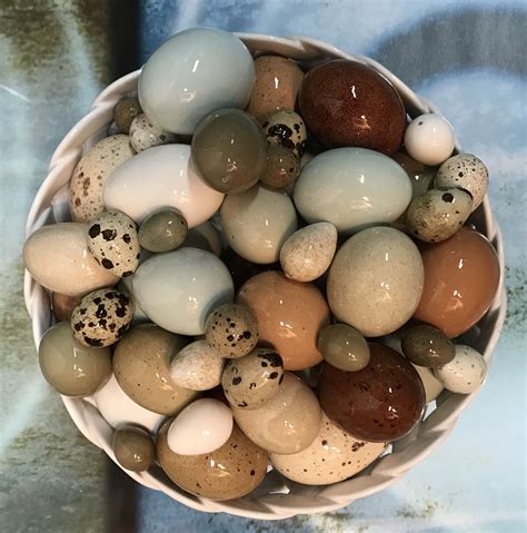 Oct 26, 2020 · the condor lays a couple of eggs and the ostrich a score, and yet in the same country the condor may be the more numerous of the two: Pin by Gail Lambka on Blown Eggs | Blown eggs, Bird eggs, Food