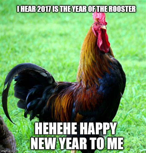 Rooster Memes And S Imgflip