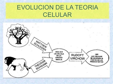 Teorias De La Evolucion De La Celula Compartir Celular