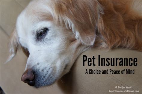 Peace of mind personalized pet care solutions. Pet Insurance: Funding Veterinary Care - Golden Woofs