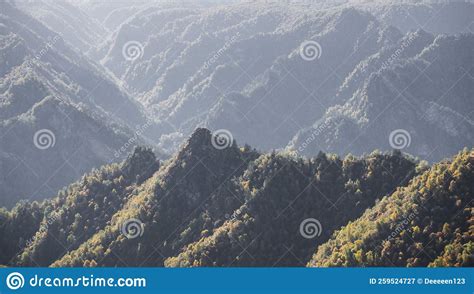 Mountain Range With Yellowed Trees Overgrown On It In Autumn Against
