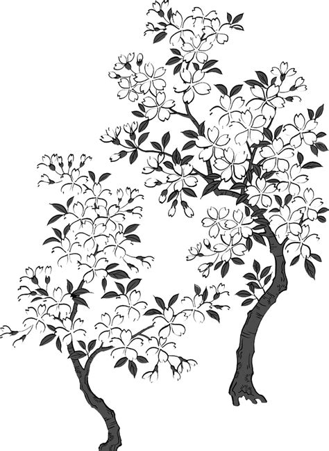 2362 X 2363 7 Cherry Blossom Tree Black And White Transparent Clipart