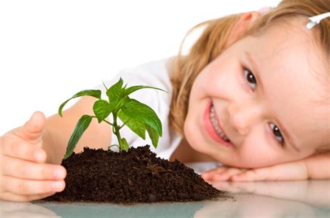 ⊛ Plantas Para Niños ⇒ ¿las Más Fáciles De Cuidar ️