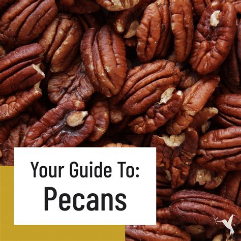 Pecans Everything You Need To Know Producers Stories