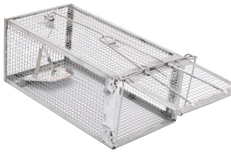 What Is The Best Squirrel Trap Top 5 Squirrel Trap Reviews 2022