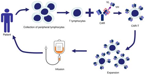Current Progress In Car‑t Cell Therapy For Tumor Treatment Review