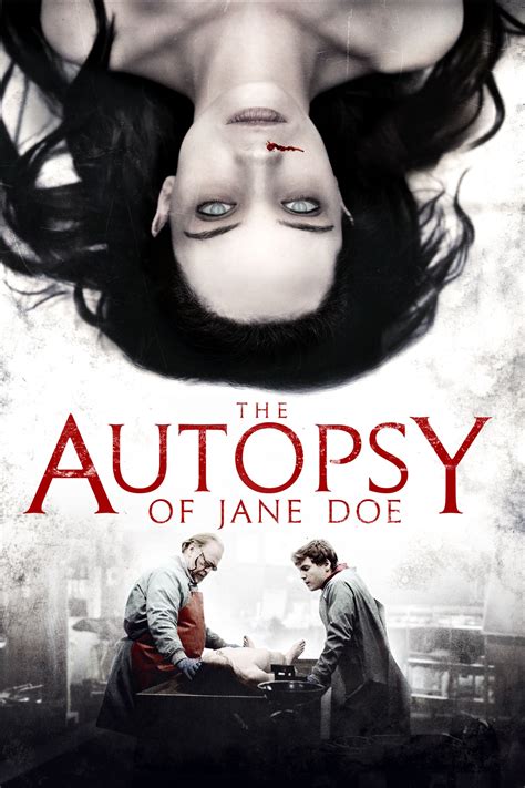 autopsy of jane doe sinopsis