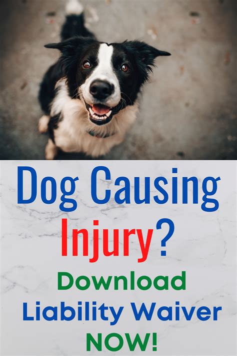 Dog Liability Waiver Form Liability Waiver Liability Dog Daycare