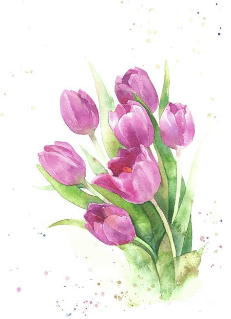 Tulips Pink Watercolor Flowers Hand Draw Painting By Mary