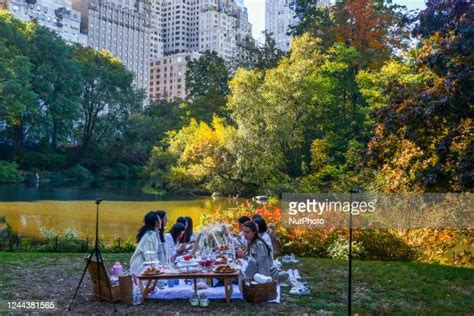 Central Park Picnic Photos And Premium High Res Pictures Getty Images