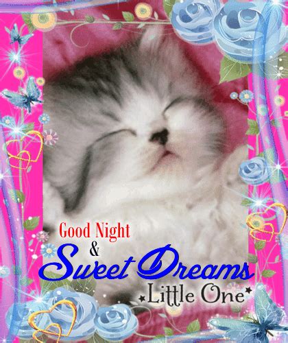 Fabulous Animated Good Night  Picture With Sleeping A Cute Cat
