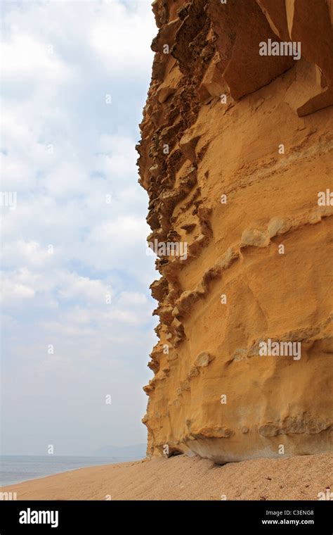 Sandstone Cliffs At Burton Bradstock Near Bridport On The Jurassic