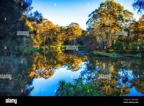 Waters Of Lane Cove River In Lane Cove National Park Of Sydney